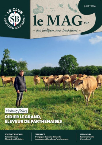 mag 37