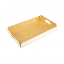 Lot de 100 plateaux 